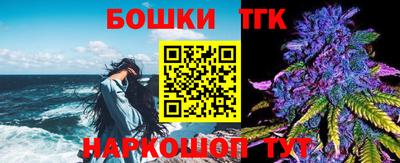 прущие грибы Заводоуковск