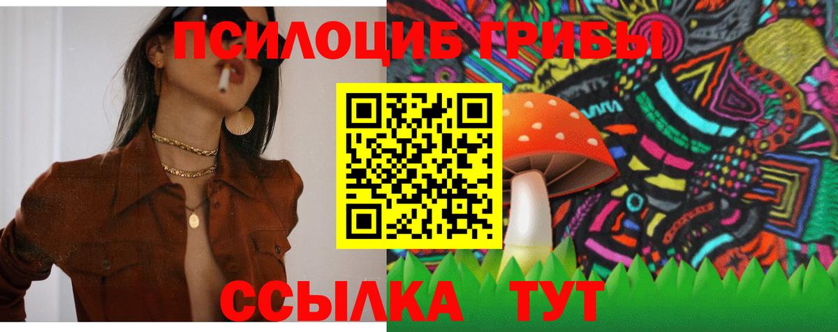 Мытищи  Галлюциногенные грибы Psilocybine cubensis  Вход с VPN 