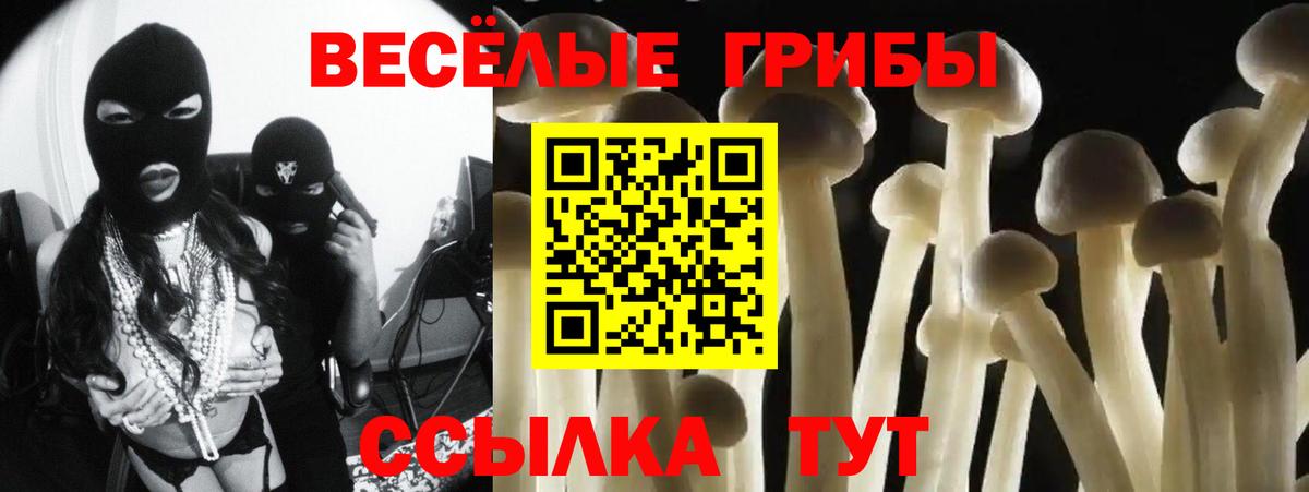 Псилоцибиновые грибы мицелий Мытищи